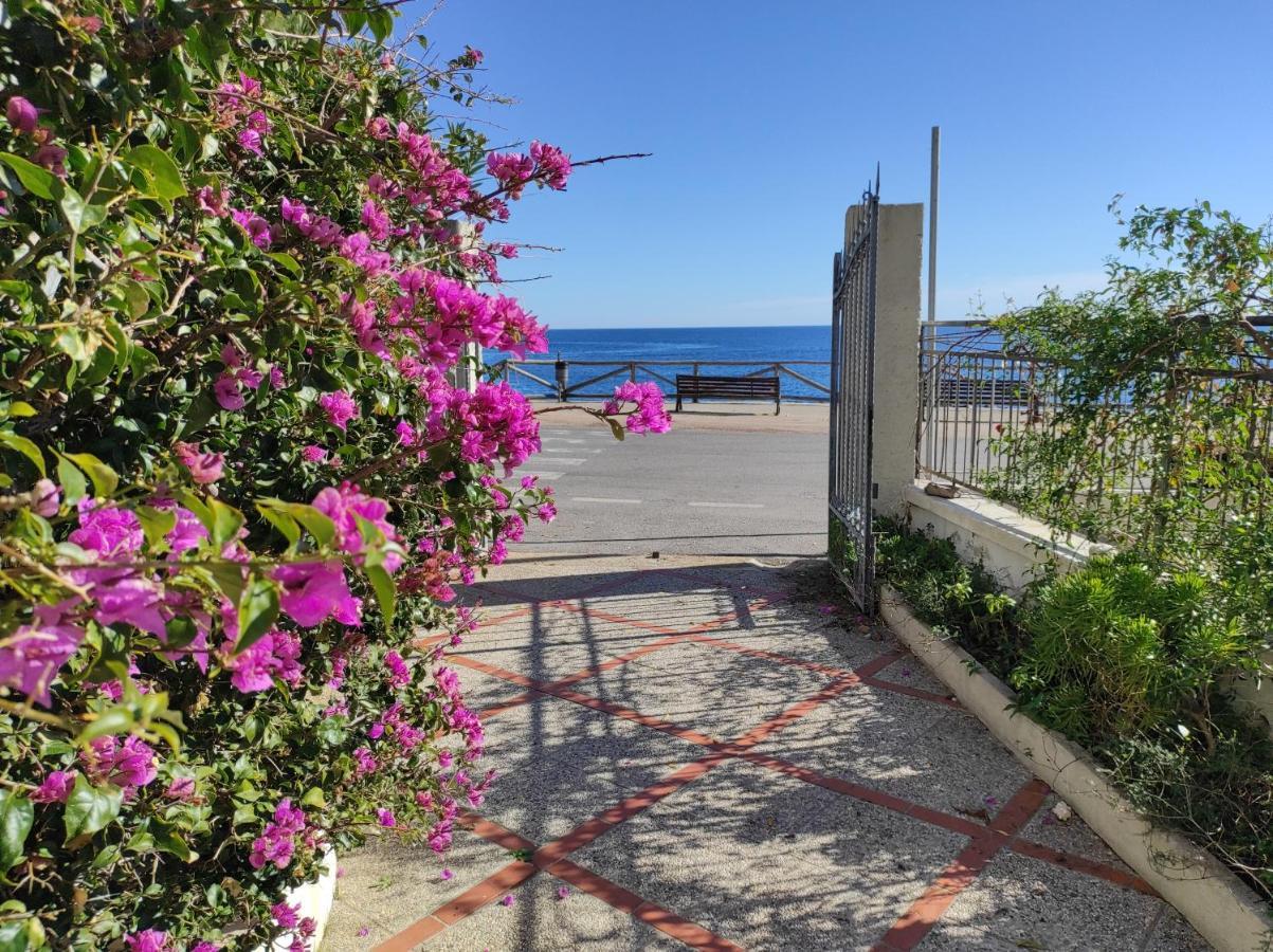 Nido Lungomare, E Sei In Spiaggia... Cala Gonone Buitenkant foto